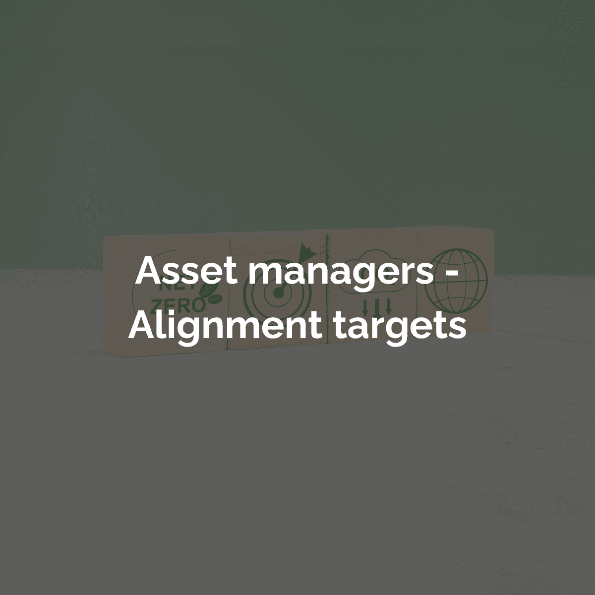 Asset Managers - Alignment Targets