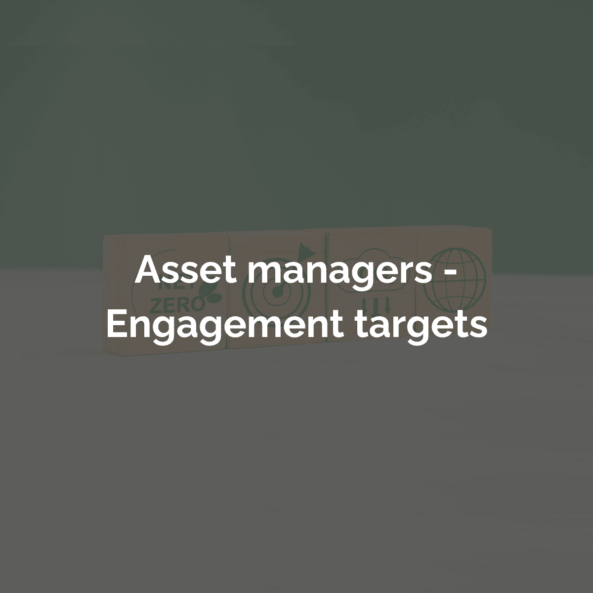Asset Managers - Engagement Targets