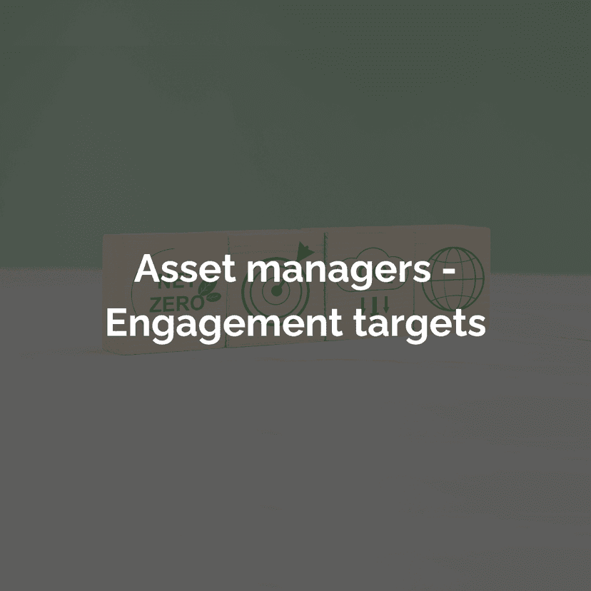 Asset Managers - Engagement Targets
